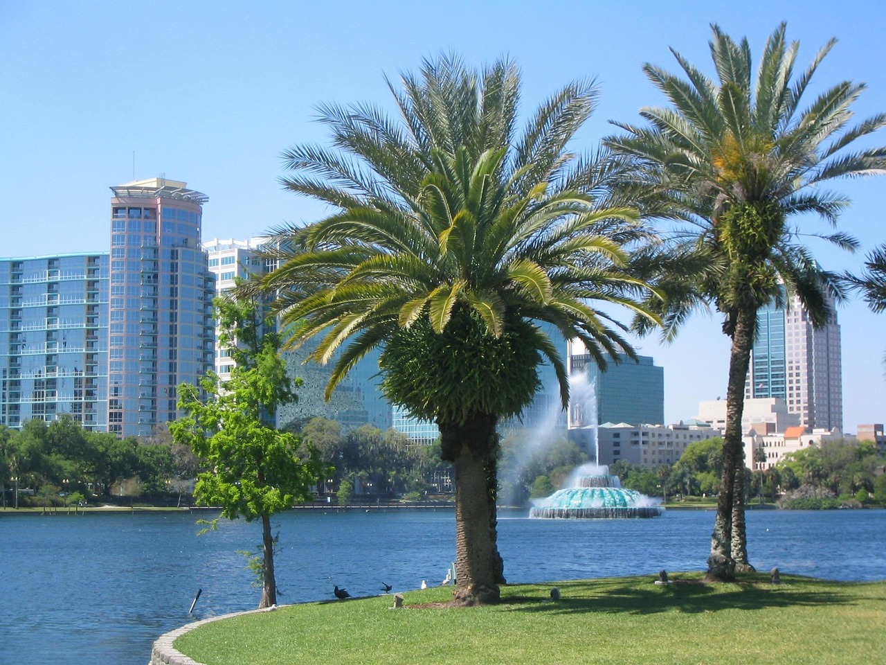 rgruber-orlando-209502_1280 orlando